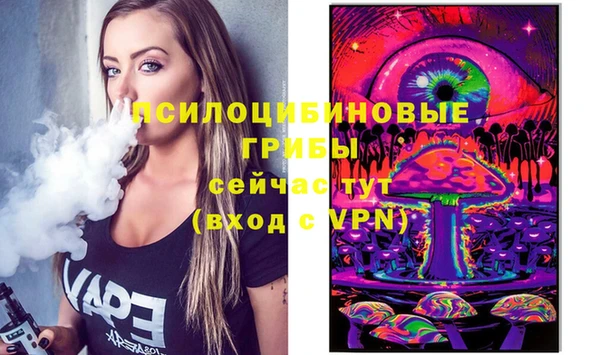 крисы Богданович