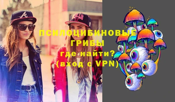 ПСИЛОЦИБИНОВЫЕ ГРИБЫ Богородск